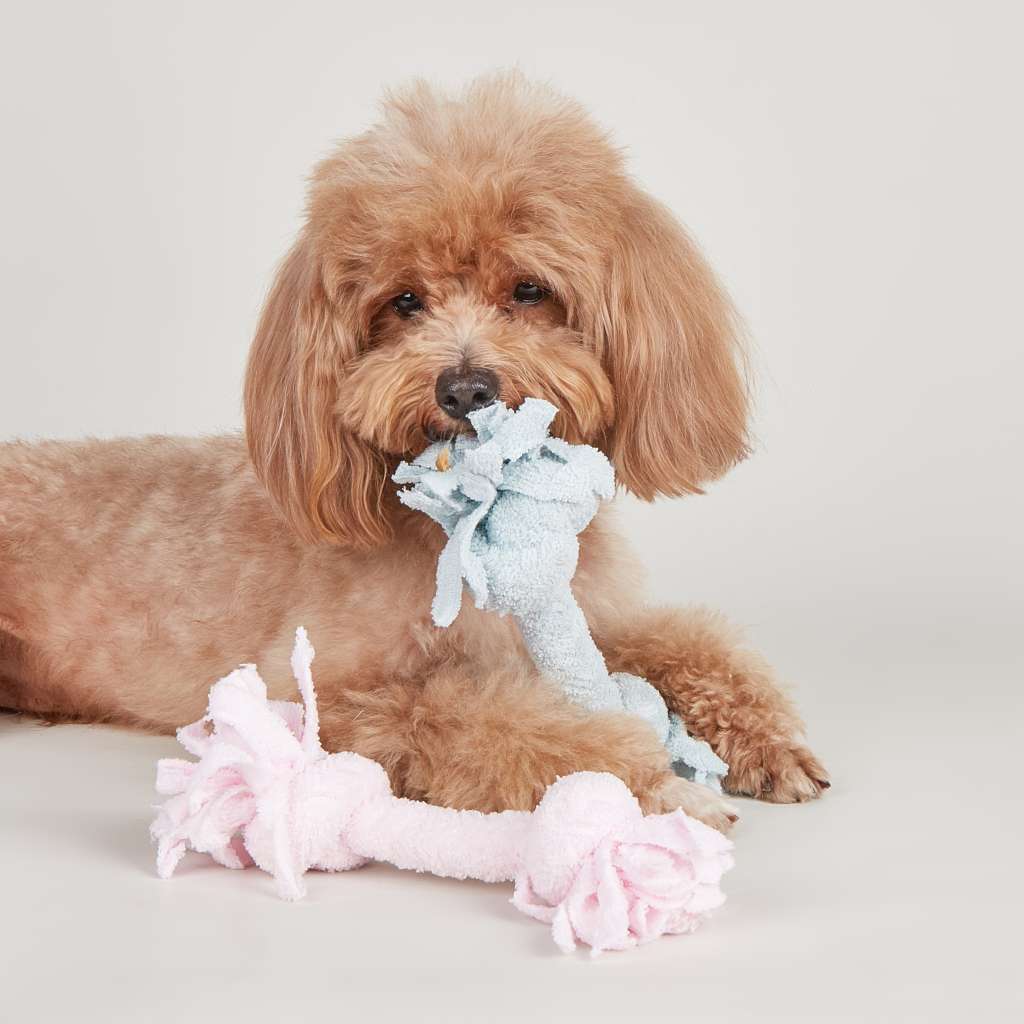 Terry Rope FOFOS Toy Box Dog Terry Rope 2Knots - FOFOSPET